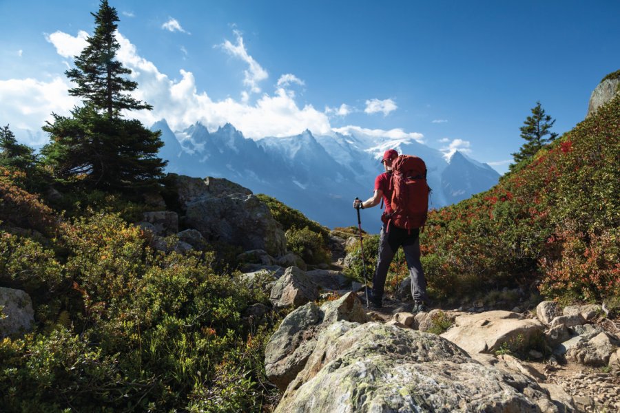 Randonnée près de Chamonix-Mont-Blanc. SanderStock - iStockphoto.com