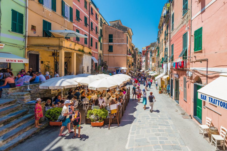 La charmante ville de Vernazza. Anibal Trejo - Shutterstock.com