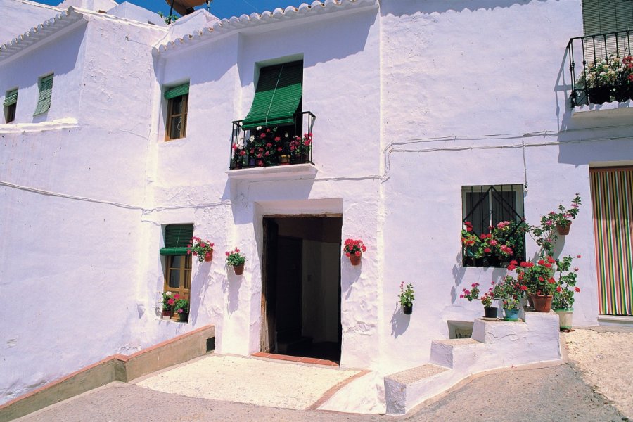 Dans les ruelles de Frigiliana. Author's Image