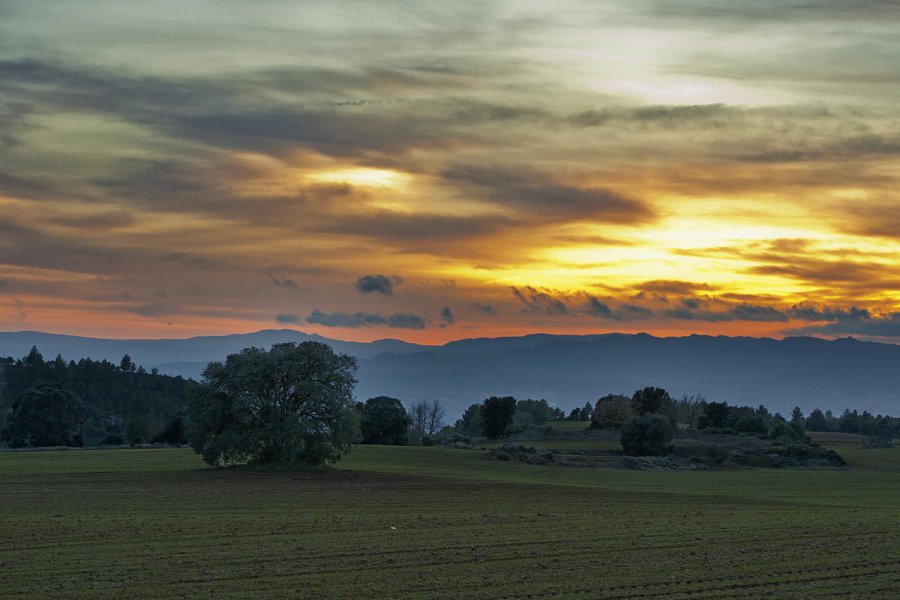 Castellfollit del Boix. J.Blanco - Shutterstock.com