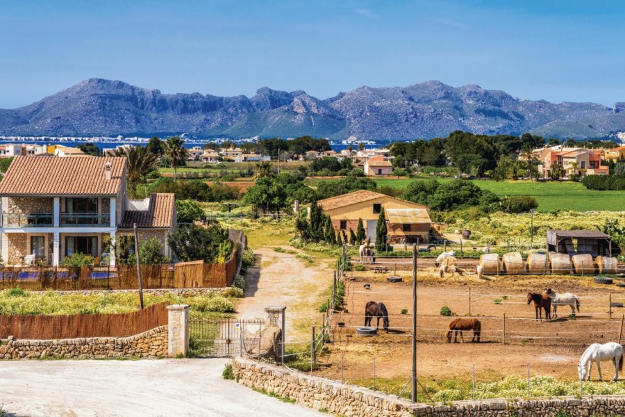 Paysage rural près d'Alcúdia. Sack - iStockphoto