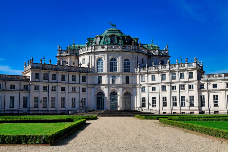 Palazzina Stupinigi Wire Dog - Shutterstock.com