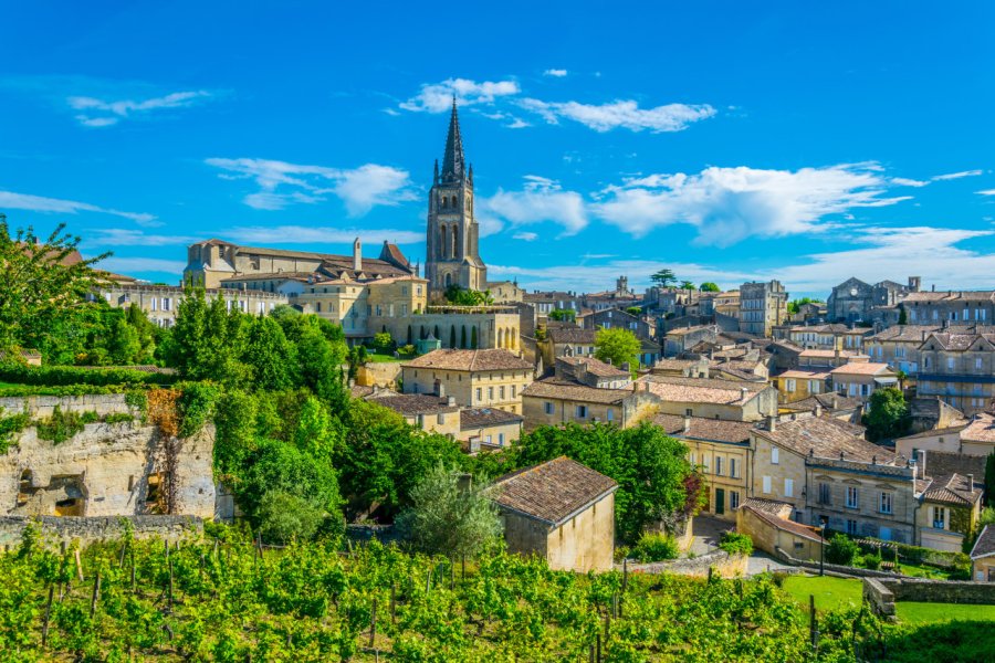 Saint-Émilion. dudlajzov - stock.adobe.com