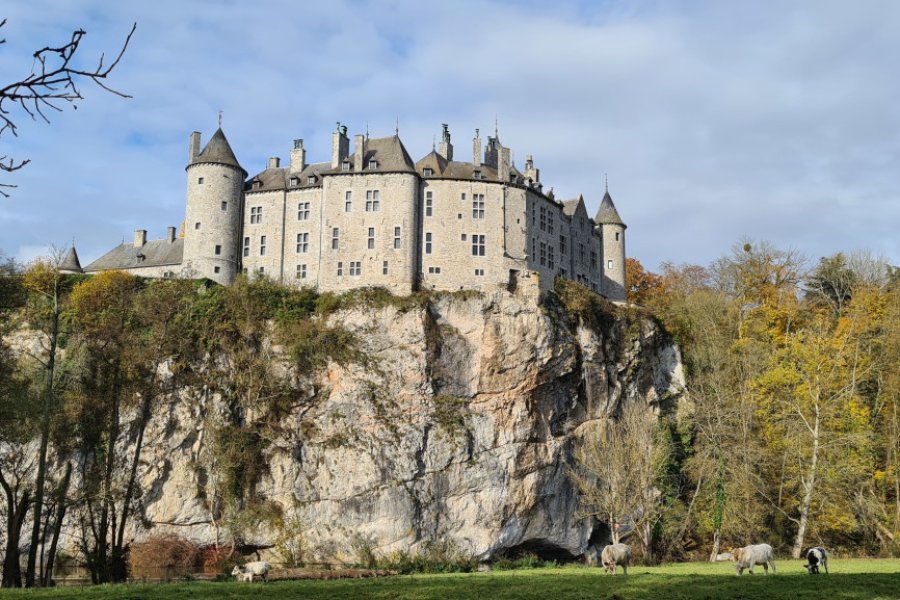 Le Château de Walzin. BDubrulle