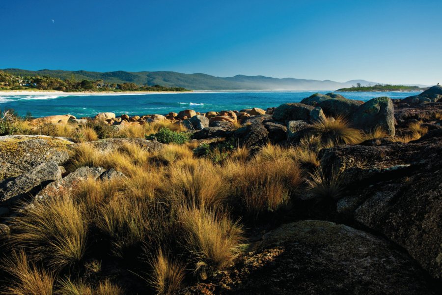 Red Bill Beach. Tourism Tasmania & Justin Malinowski