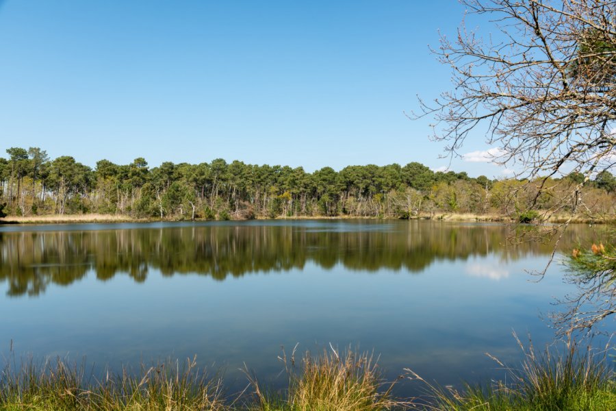 Site naturel de Saint-Brice. (© Arcachonphoto.com - stock.adobe.com))