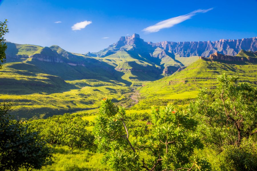 Drakenserg national park. Diriye Amey - Shutterstock.com