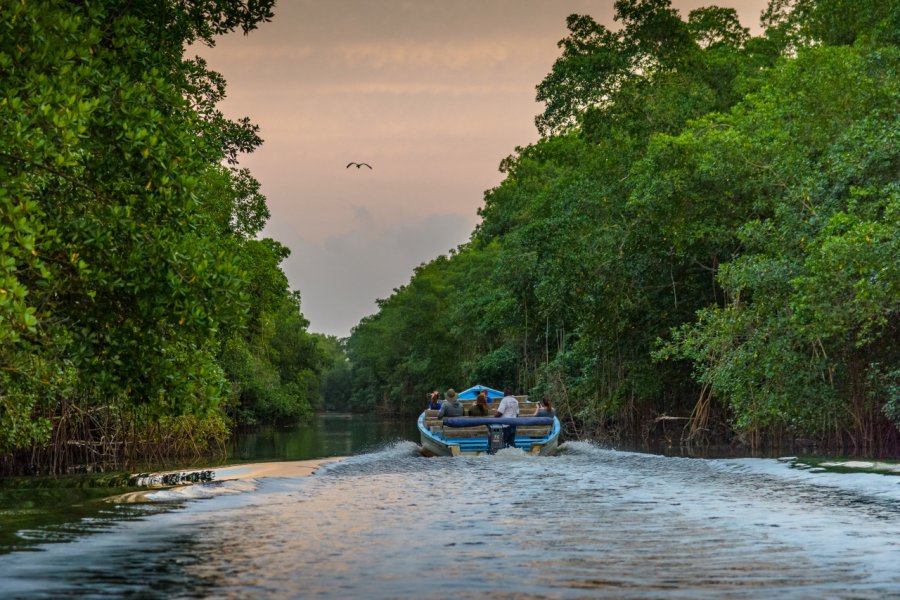 Fleuve Caroni. mbrand85 - Shutterstock.com