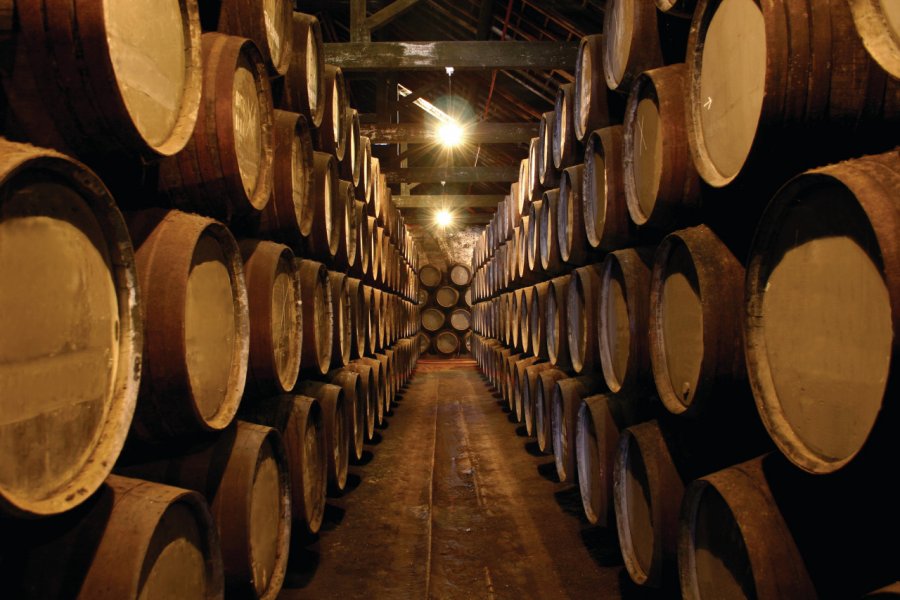 Cave à porto LuisPortugal - iStockphoto.com
