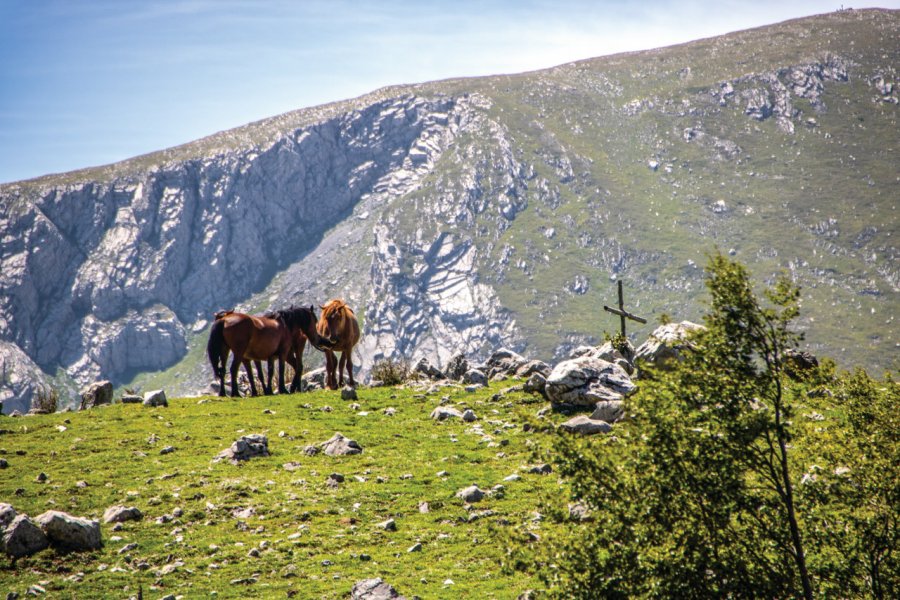 Parc national de Pollino. lauradibiase - iStockphoto.com