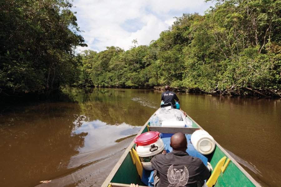 Piroguier sur crique Balata et la rivière Kourou. Philippe GUERSAN - Author's Image