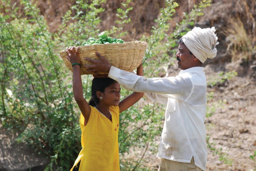 Famille travaillant dans leurs champs. paresh3d - iStockphoto.com