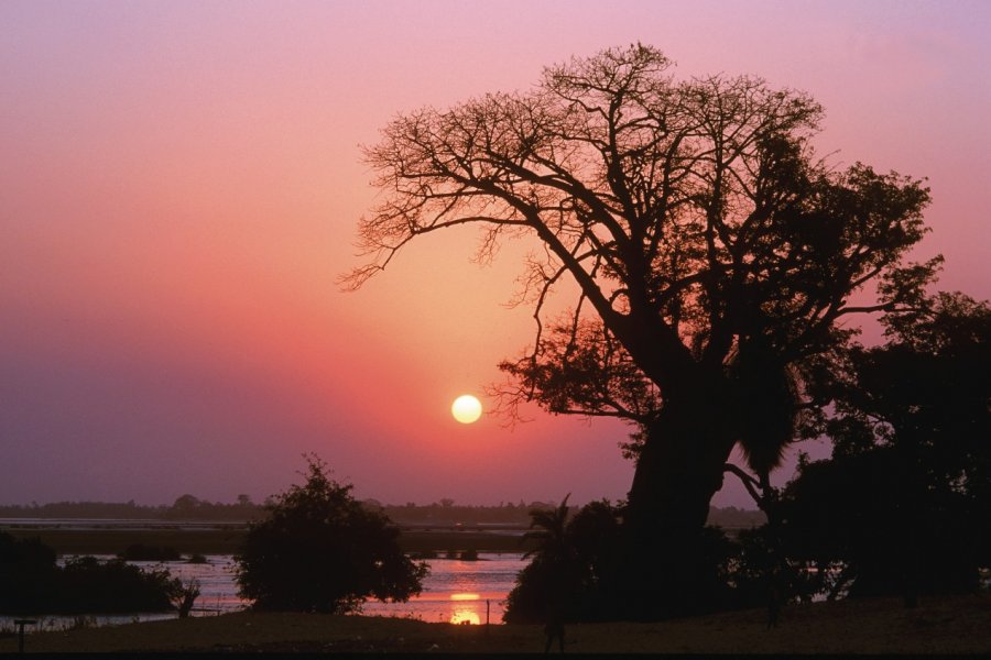 Delta du Sine Saloum, région de Fatick. Author's Image