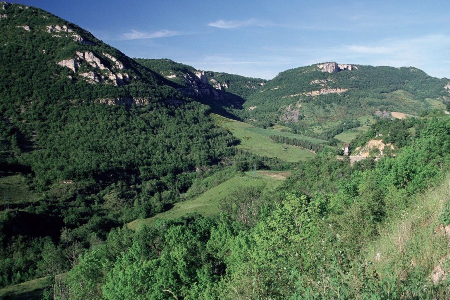 Aux environs de Roquefort-sur-Soulzon PHOVOIR