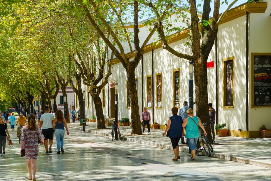 Boulevard Murat Toptani. (© Katsiuba Volha - Shutterstock.com))