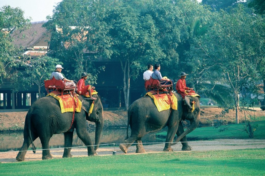 Balade en éléphant. S.Nicolas - Iconotec