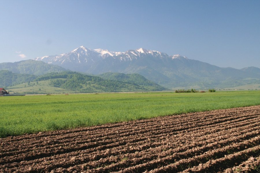 Paysage de la région de Braşov. Stéphan SZEREMETA