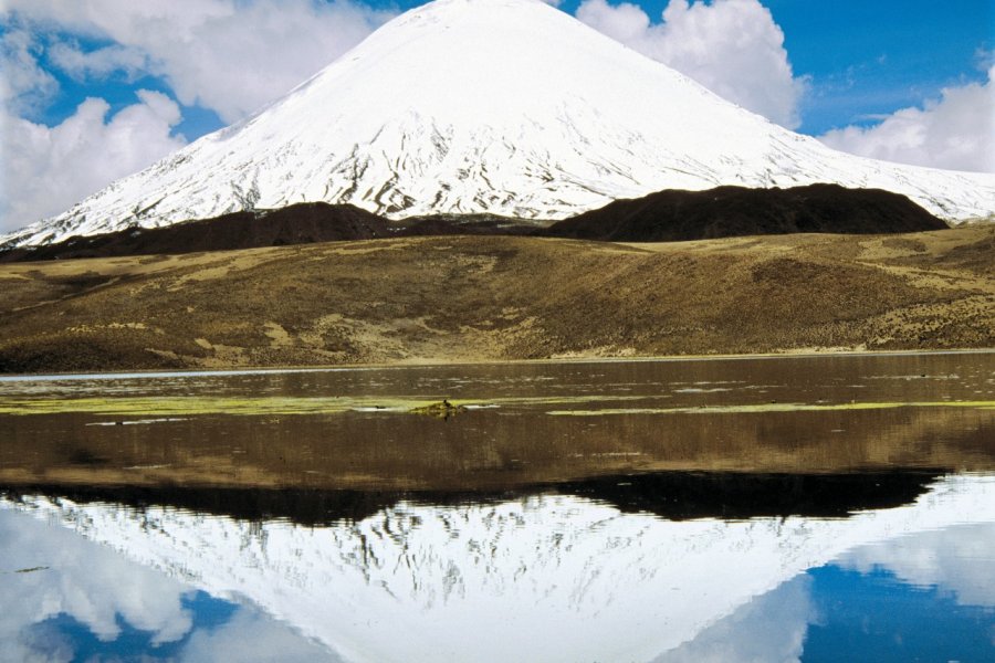 Volcan Parinacota Sylvie LIGON