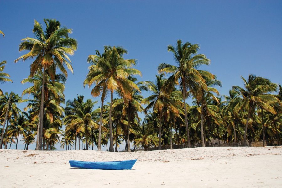 Plage de Pangane. Alce - Fotolia