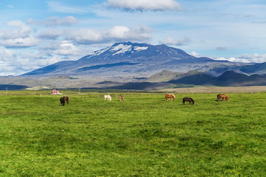 Paysage d'Hekla. Tomaz Kunst - Shutterstock.com