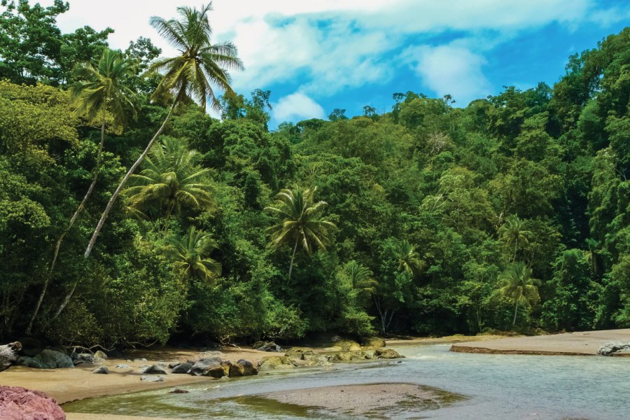 Le luxuriant parc national de Corcovado sur la péninsule d'Osa. nicolasboivin - iStockphoto.com