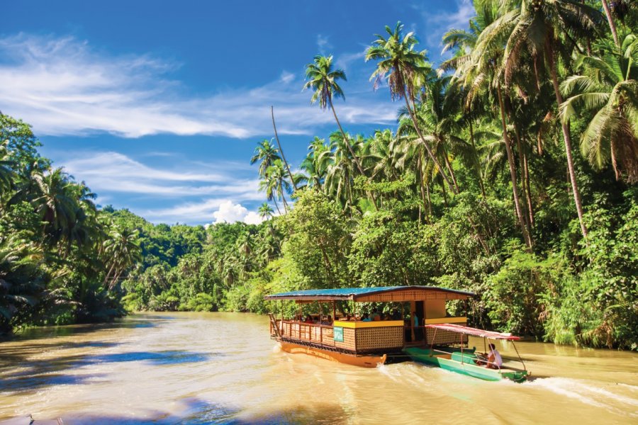 Rivière Bohol. Travnikovstudio - iStockphoto