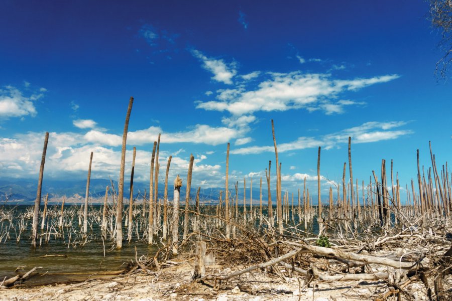 Le lac Enriquillo. Sergii Batechenkov - iStockphoto.com