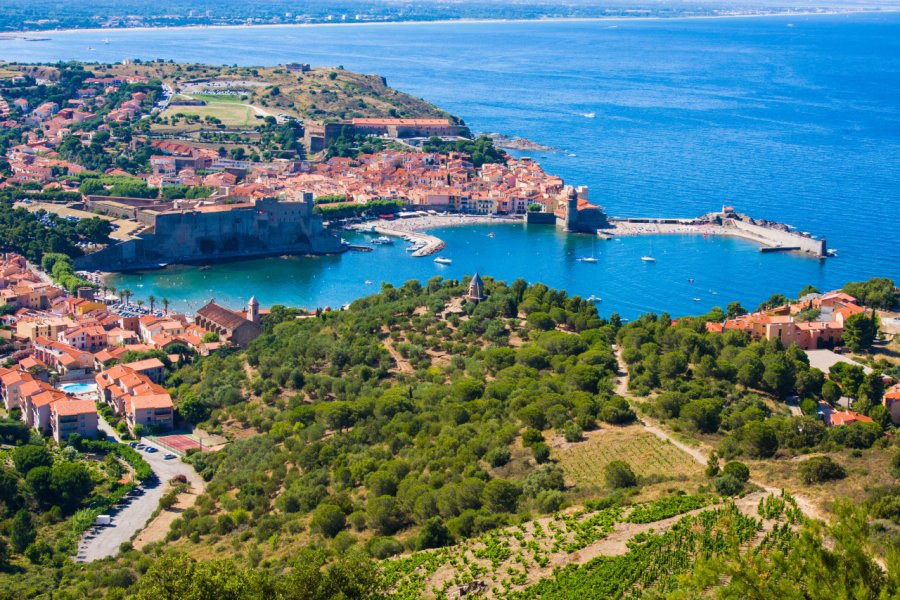 Collioure en Côte Vermeille. shutterstock.com-Irina Papoyan