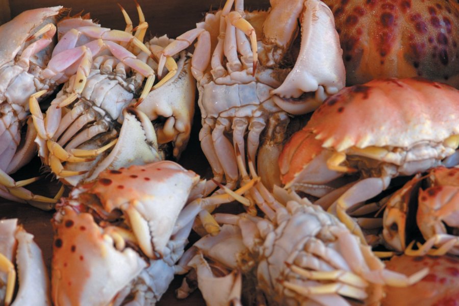 Vente de crabes au marché de Marsala. Picsofitalia.com