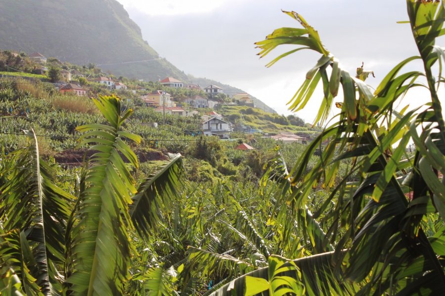 Vue sur le village d'Arco de Calheta. Martin FOUQUET