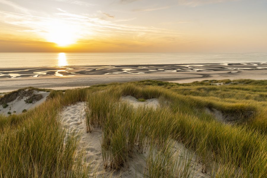 Dunes de Fort-Mahon-Plage. (© Alonbou  - stock.adobe.com))