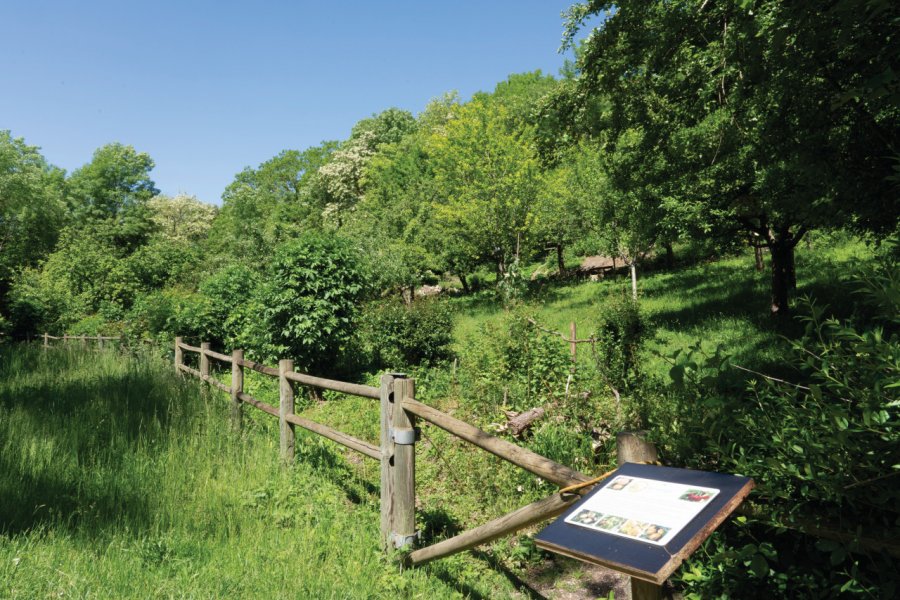 Parc des Côteaux d'Avron. Philippe Guersan