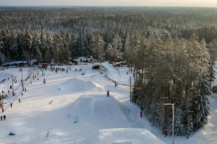 Le centre de ski et de loisirs de Valgehobusemäe en Estonie. Julia Kuznetsova - Shutterstock.com