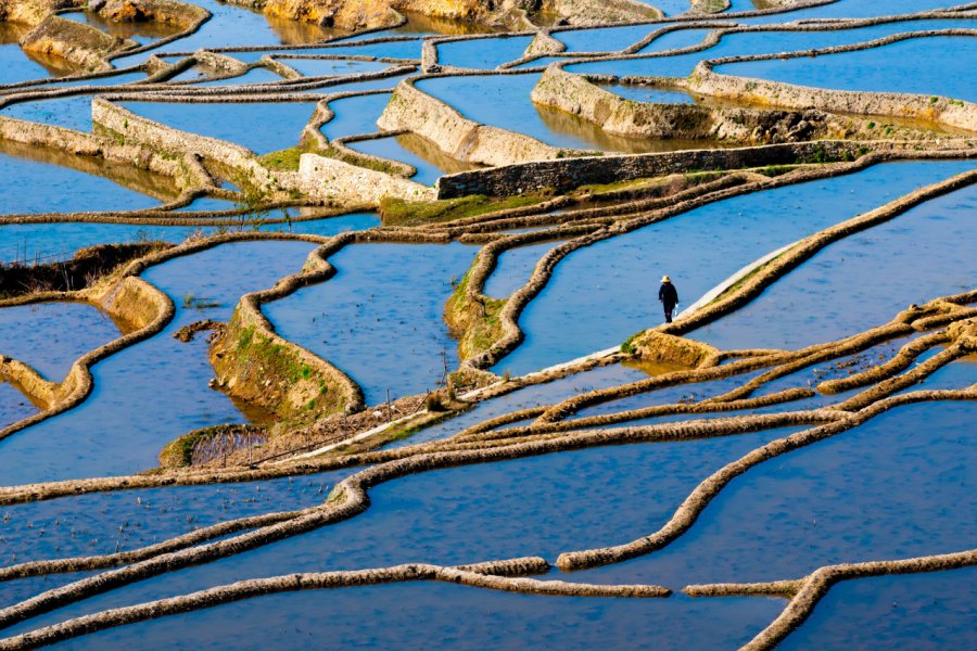 Rizières de Yuanyang. Jimmy Tran - Shutterstock.com