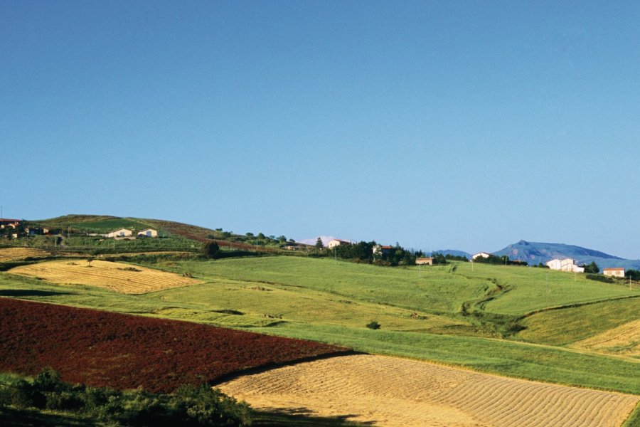 Paysage du nord dans les environs de Nicosia. Author's Image