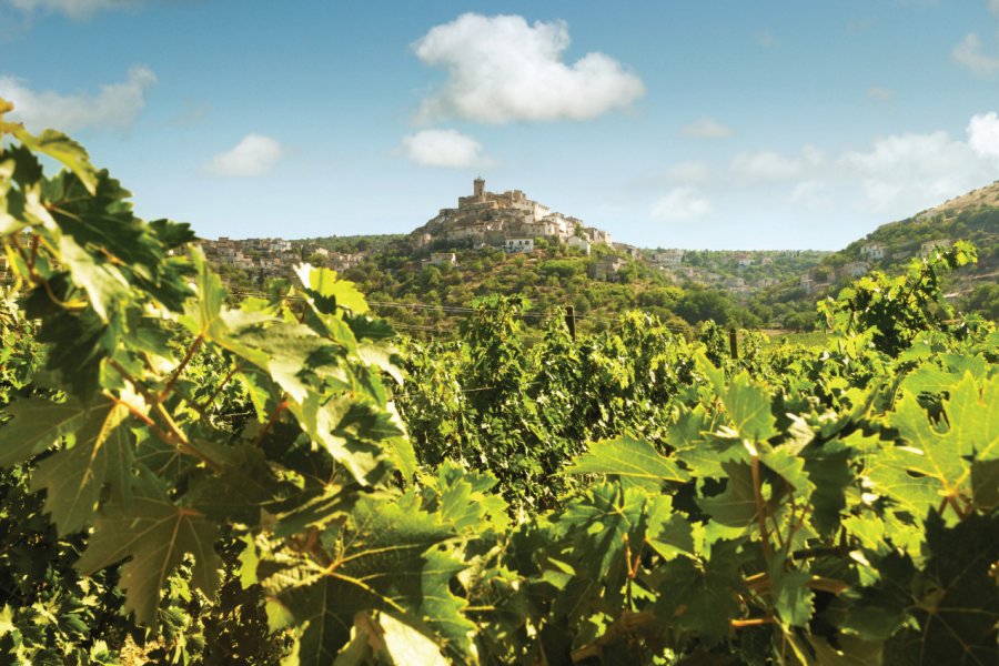 Vignoble de Capestrano. Boschettophotography - iStockphoto