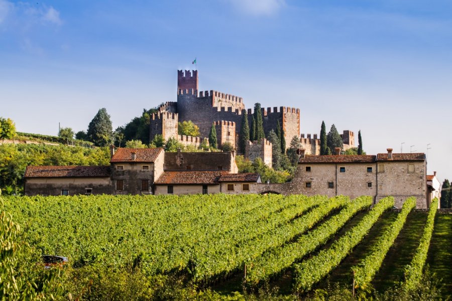 Le château de Soave. Isaac74 - Shutterstock.com