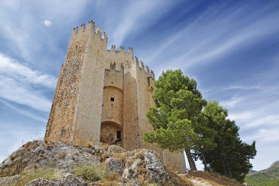 Château de Vélez Blanco. Neftali - Fotolia