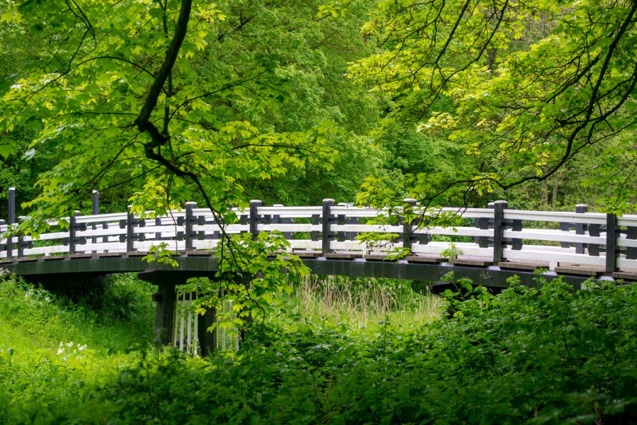 Amsterdamse Bos. Wut_Moppie - Shutterstock.com