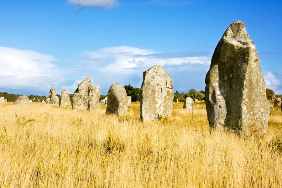 Les alignements de Carnac. Franck DIAPO - Fotolia