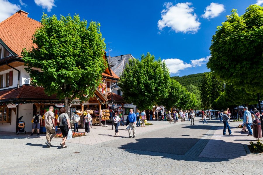 Tourisme à Titisee. Oscity - Shutterstock.com