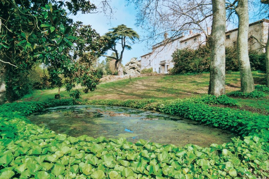 Château Auzias (vue de la marre). Dominique Auzias