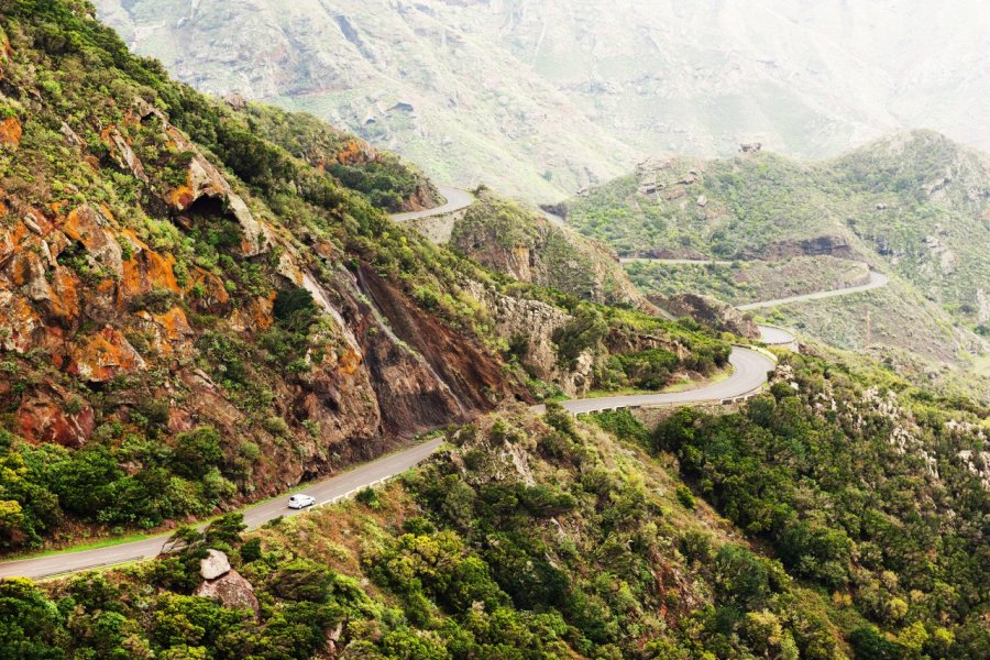 Route sinueuse dans les Montagnes Anaga, Tenerife. Mikadun - Shutterstock.com