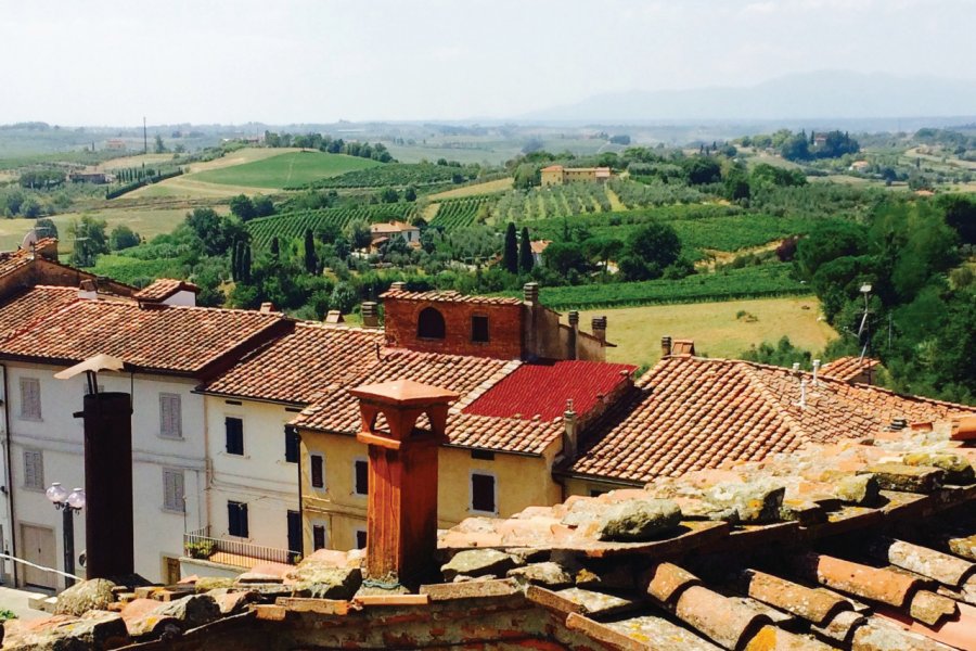 Vue depuis le musée Leonardiano. Muriel PARENT