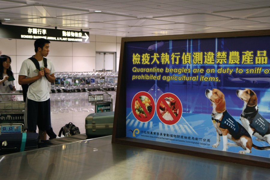 Aéroport de Taipei Stéphan SZEREMETA