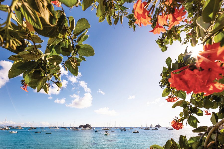 Vue depuis le paisible quartier de Corossol Comité territorial du tourisme de Saint-Barthélemy