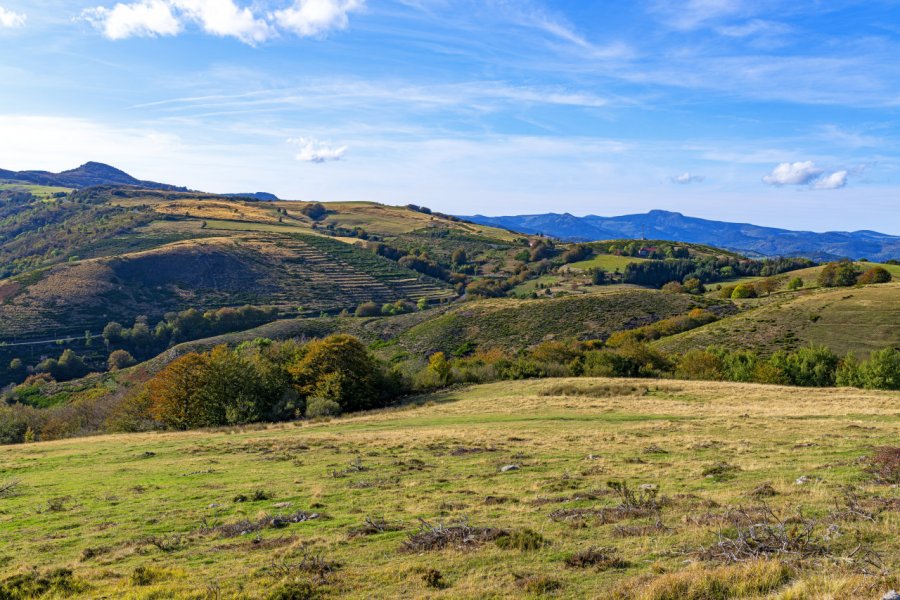 Paysage de Haute-Ardèche aux environs de Mézilhac. michel - stock.adobe.com