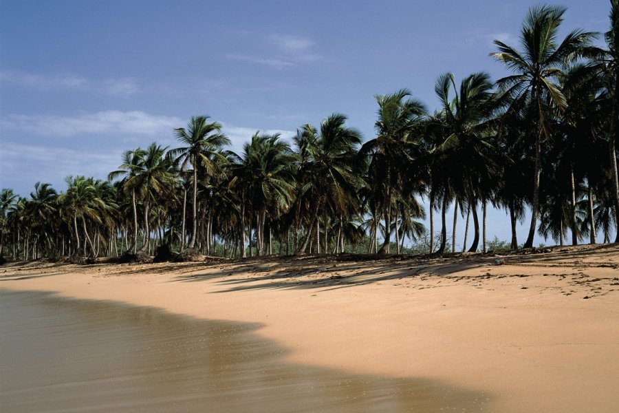 Playa Macao, une plage sauvage. Author's Image