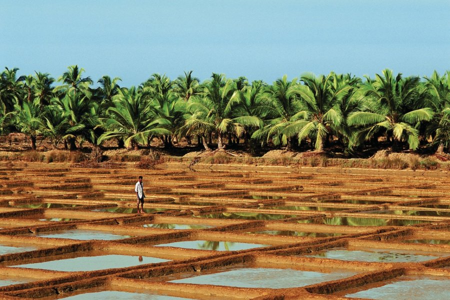 Salines de Goa. Author's Image