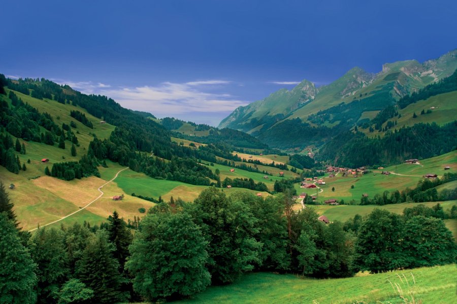 Les environs de Gruyères. Denis Pepin - Fotolia